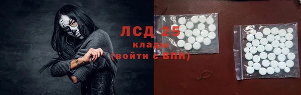 спайс Богданович