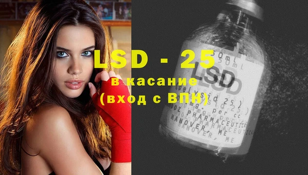 спайс Богданович