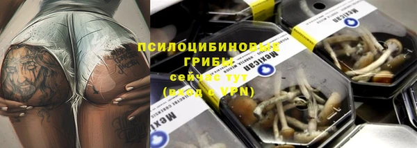 спайс Богданович